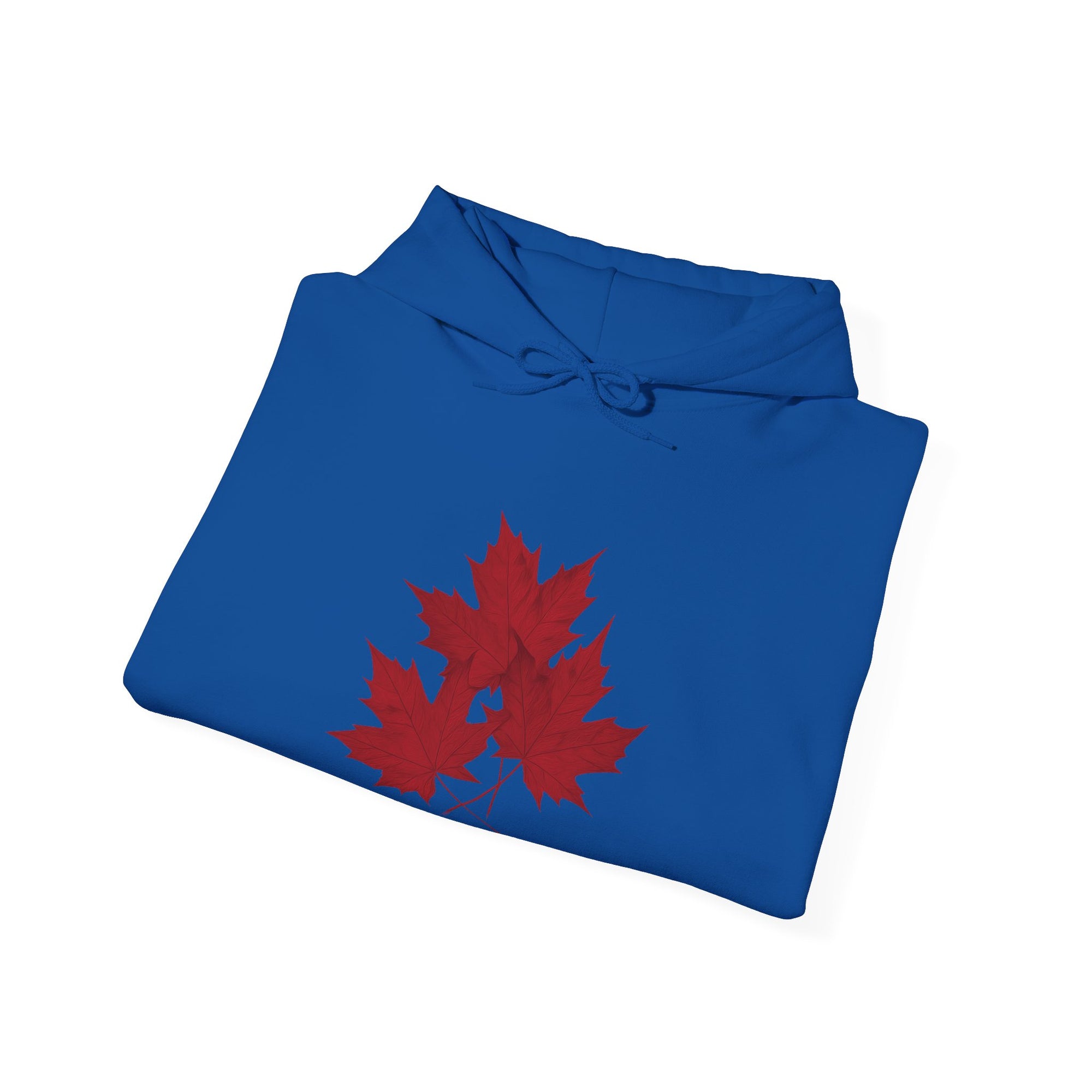 Maple Leaves Hoodie