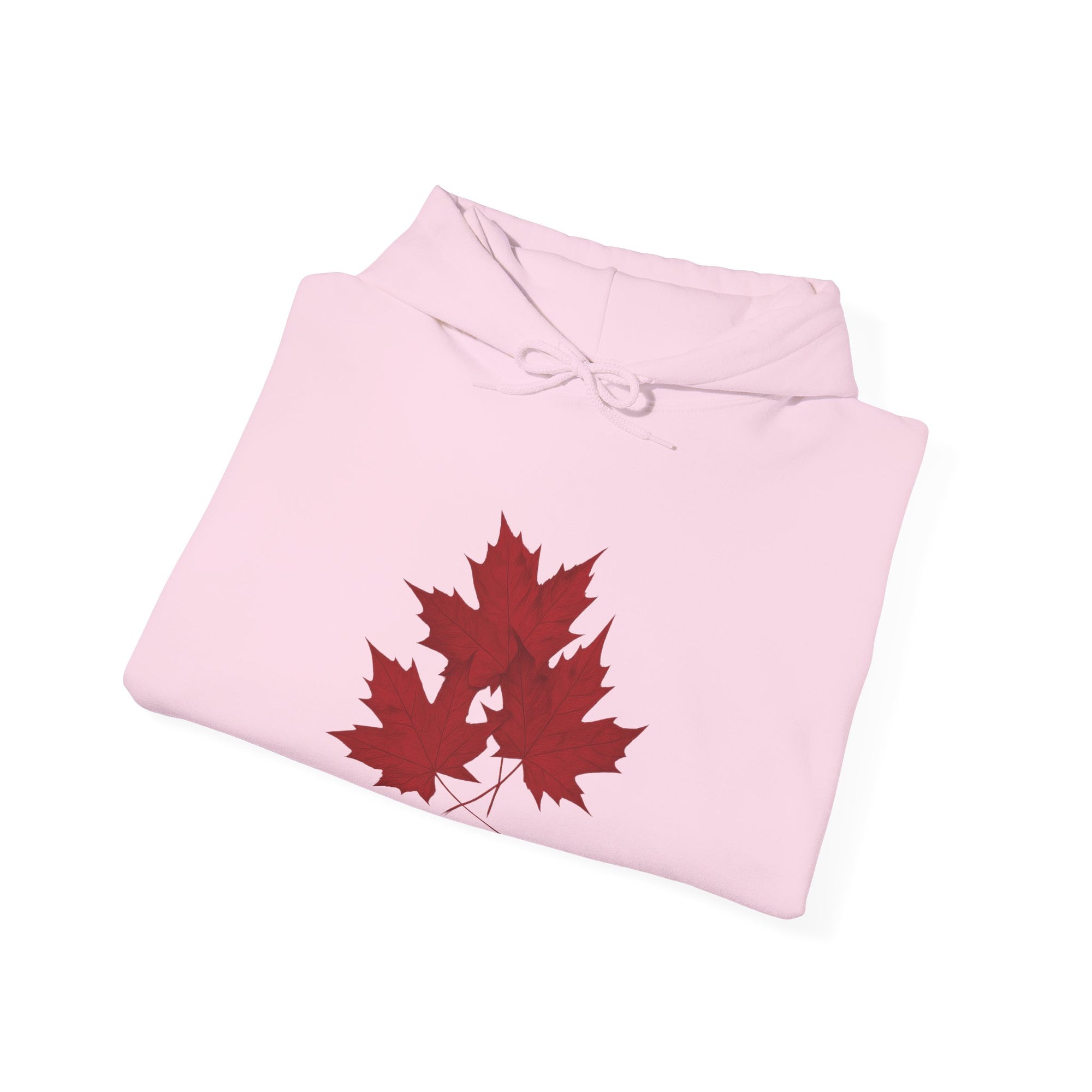 Maple Leaves Hoodie