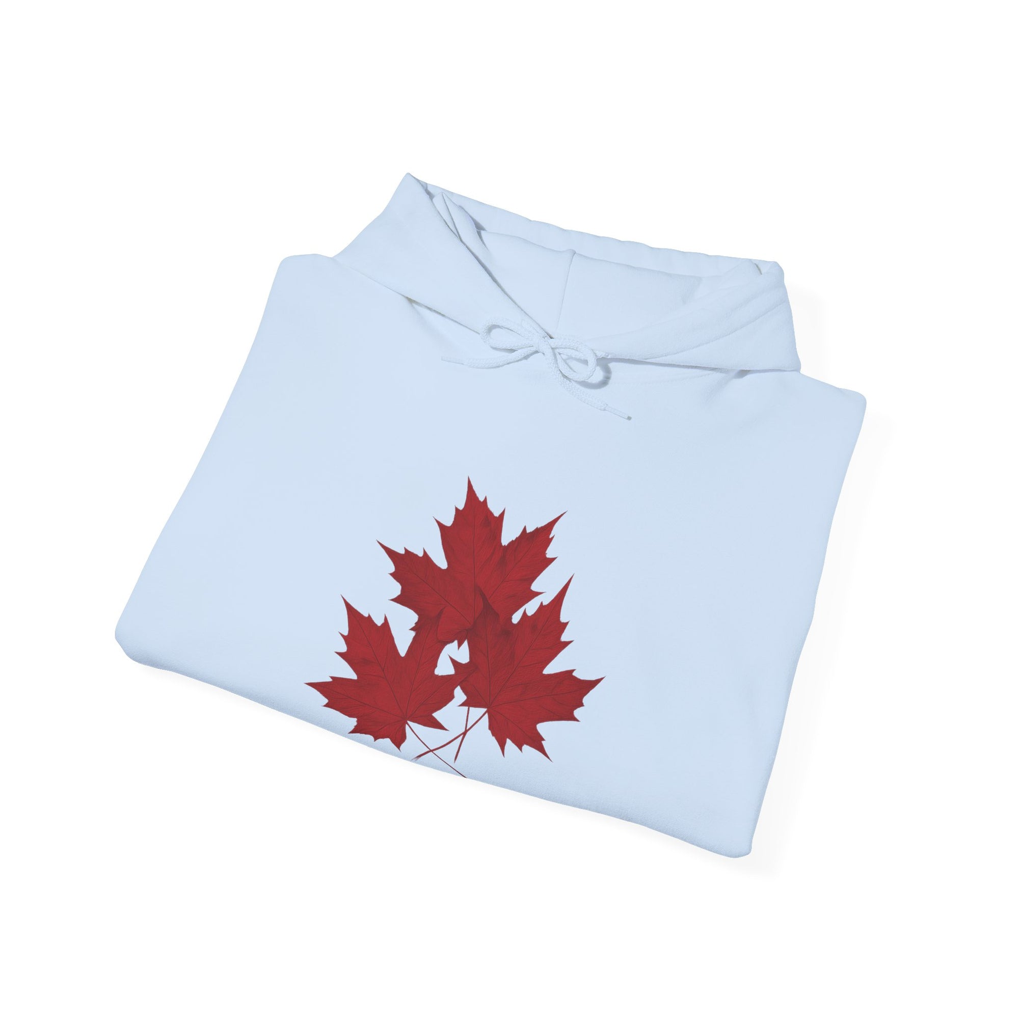 Maple Leaves Hoodie