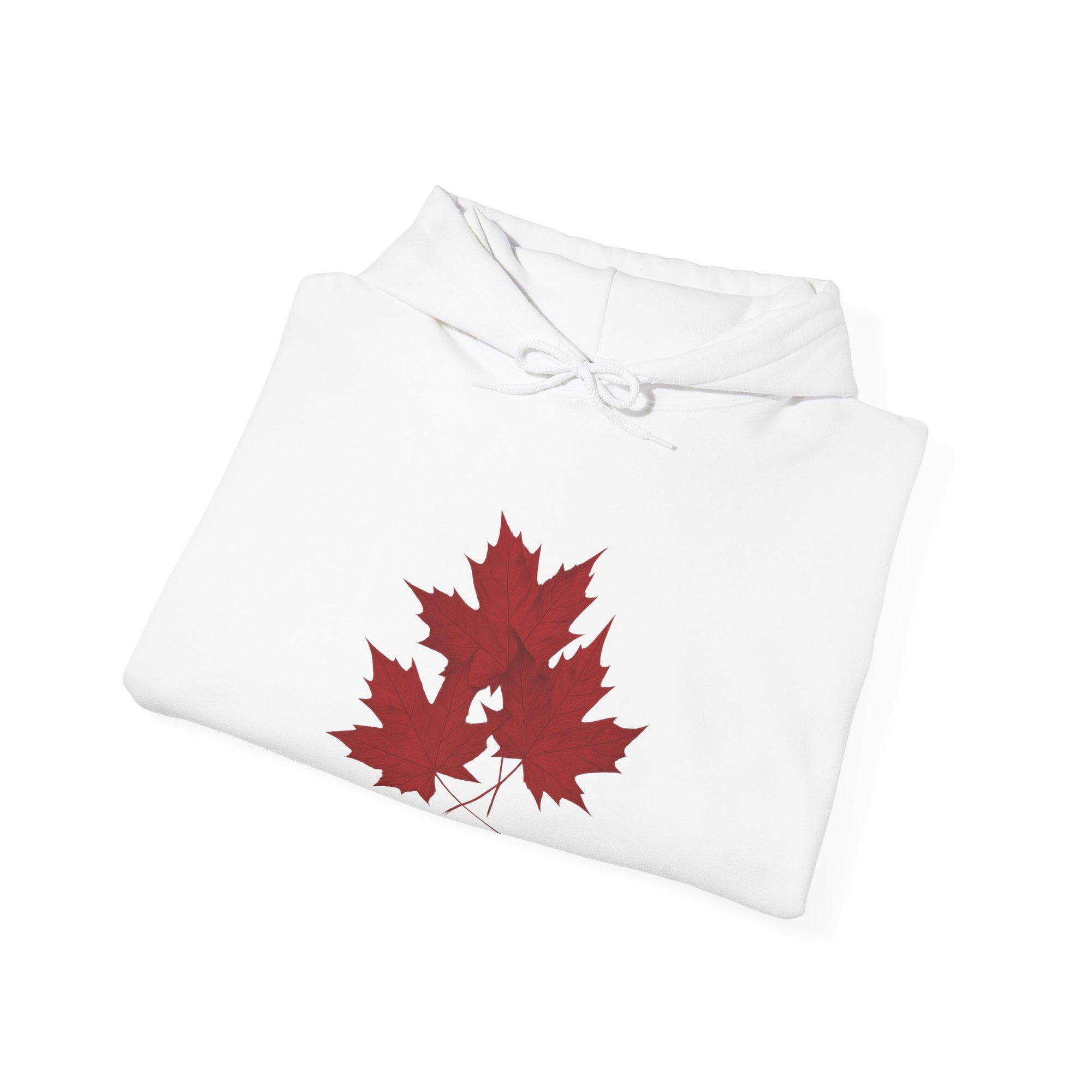Maple Leaves Hoodie