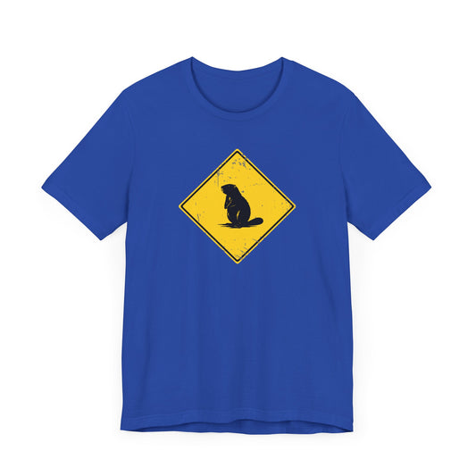 Beaver Crossing Shirt Blue